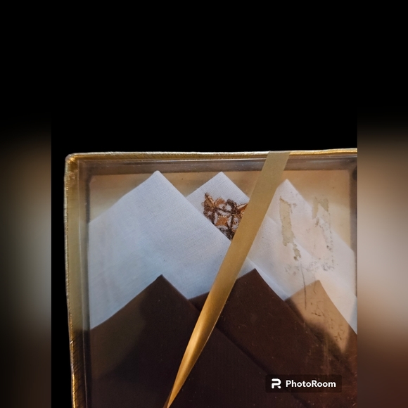 Vintage Springmaid Goldenweve Embroidered Handkerchiefs 2pk White & Brown - Picture 3 of 3